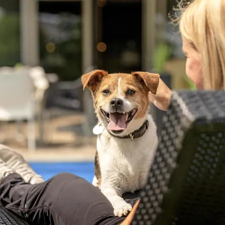 Mercure Europaplatz 4* אאכן