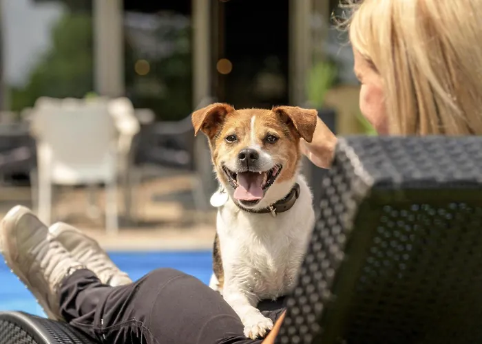 Mercure Europaplatz 4*