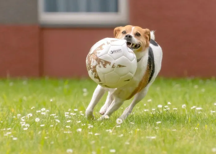 Mercure Europaplatz אאכן